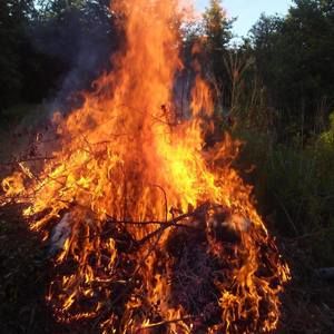 Meet your Posher, Charley